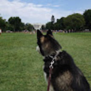 Meet your Posher, Zach